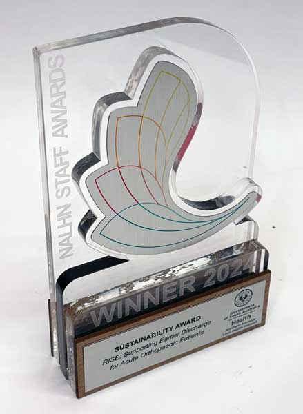 The Art of Custom Awards: How Evright.com Created a Custom Trophy For NALHN