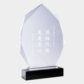 "The King of Crystal" Crystal Award Arrowhead 2.25g