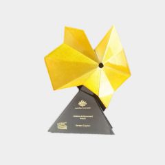 evright.com | Custom Award Powercruise