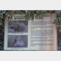 evright.com | Custom Stainless Steel Plaque