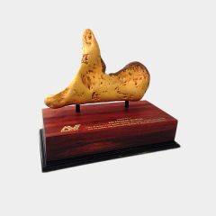 evright.com | Custom Award Powercruise