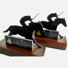 evright.com | Langhorne Creek Wine Region Custom Award