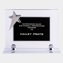 evright.com | custom glass award black star