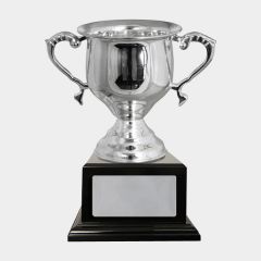 evright.com | Silver One Direction Series Custom Cup