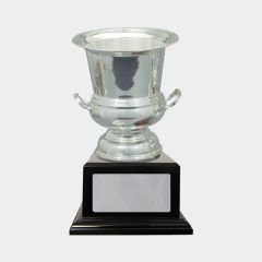 evright.com | Silver One Direction Series Custom Cup