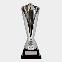 evright.com | Silver One Direction Series Custom Cup