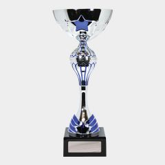 evright.com | Silver One Direction Series Custom Cup