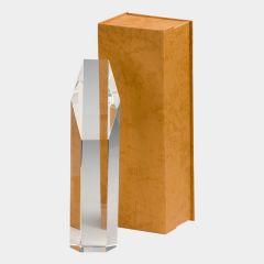 evright.com | Twist Crystal Award