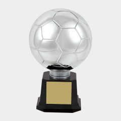 evright.com | Planet Soccer Trophy Silver | 175mm