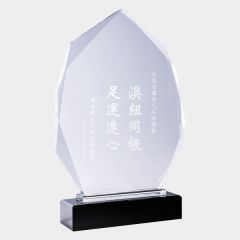evright.com | Crystal-Kaleido Clear Super-Sized Ribbon Crystal Award