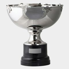 evright.com | Silver One Direction Series Custom Cup