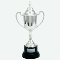 evright.com | Traditional Silver Bowl Custom Cup With Lid v2