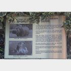 evright.com | Custom Stainless Steel Plaque