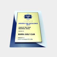 evright.com | Custom Award with Wood and Acrylic