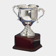 Silver Trophy Cup "C10" 