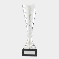 evright.com | Silver One Direction Series Custom Cup