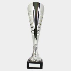 evright.com | Silver One Direction Series Custom Cup