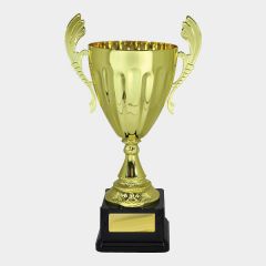 evright.com | Silver One Direction Series Custom Cup