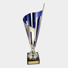 evright.com | The Stripe Cup - Silver and Blue