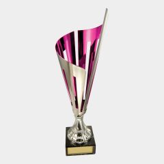 evright.com | The Stripe Cup - Silver and Pink