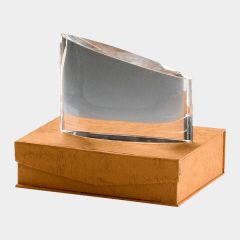 evright.com | Oblong Crystal Award