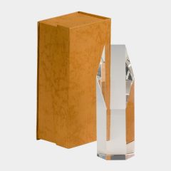 evright.com | Twist Crystal Award