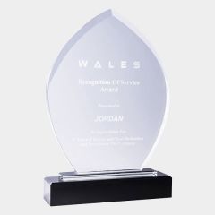 evright.com | Crystal-Kaleido Clear Super-Sized Ribbon Crystal Award