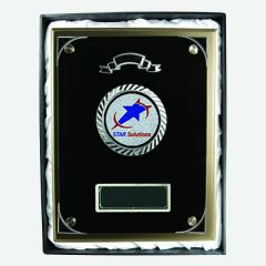 Silver Plaque with Black Glass