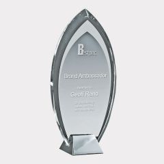 evright.com | Silver Ice Clear Glass Award Flame