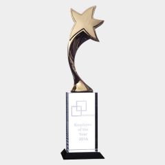 evright.com | Gold Star Crystal Award