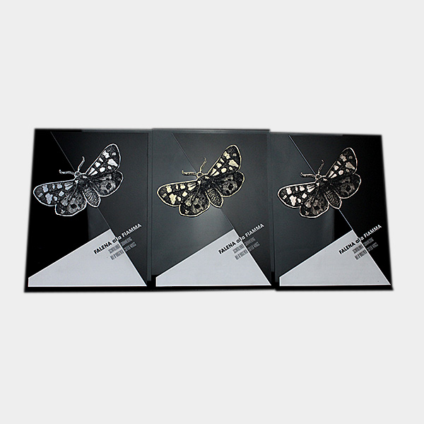 Branded Gift Cards Branded Gift Cards