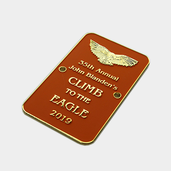 Climb To The Eagle Custom Pins