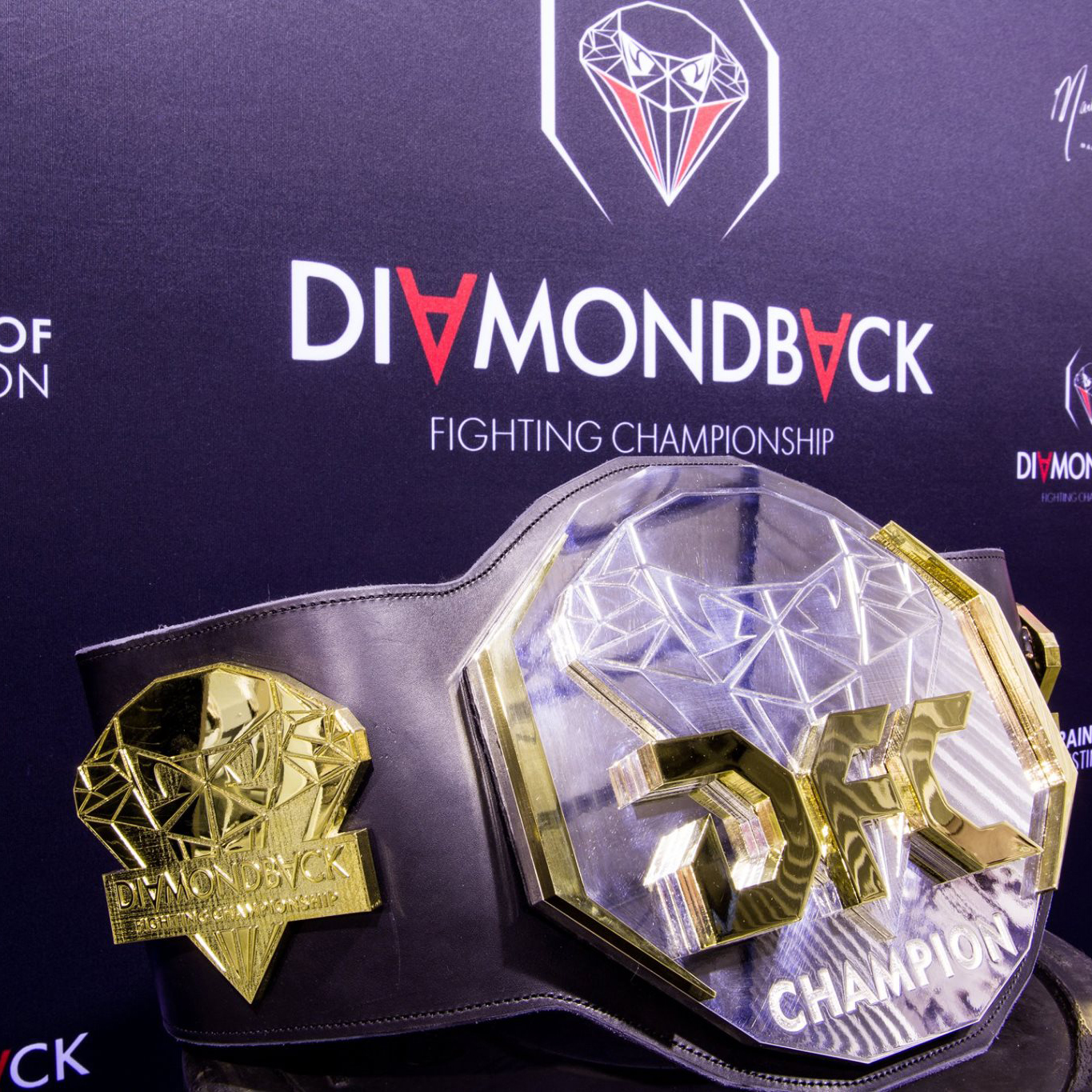Diamond Fighting Championship Belt